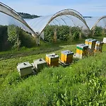 Utsikten Bjerkoya - Where The View Meets The Sea, App 1h From Oslo * Holmestrand
