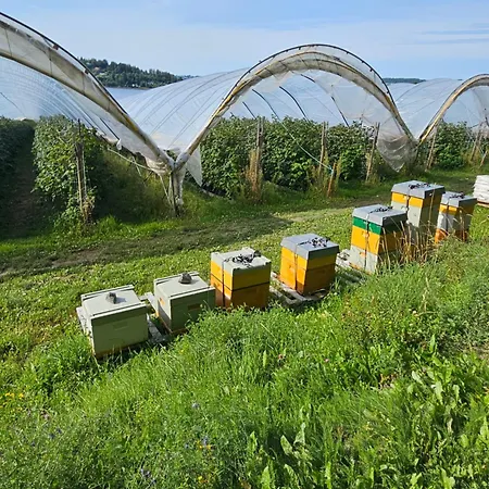 Utsikten Bjerkoya - Where The View Meets The Sea, App 1h From Oslo * Holmestrand