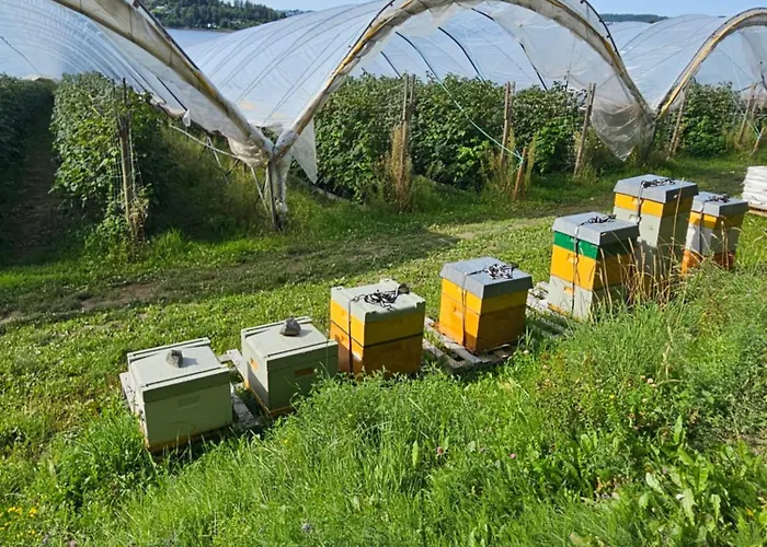 Utsikten Bjerkoya - Where The View Meets The Sea, App 1h From Oslo * Holmestrand